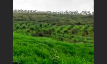 Imagem 2: Terreno de 6.400 m² para investimento em Capim Grosso