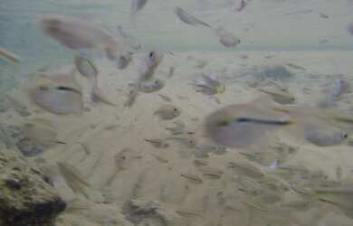 Imagem 5: Santuário do Jalapão