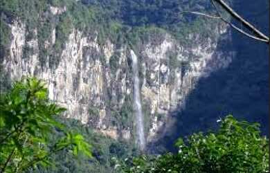 Imagem 2: Sitio e Bananal produzindo