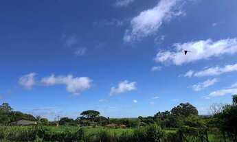 Imagem 3: Chácara/Sítio em Ilha Solteira divisa com Mato Grosso do Sul