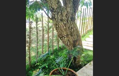 Imagem 4: Vende-se casa, Condomínio Giardino Bianco