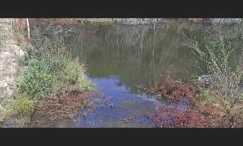 Imagem 5: Sitio de 12 há em Carmopolis de Minas MG