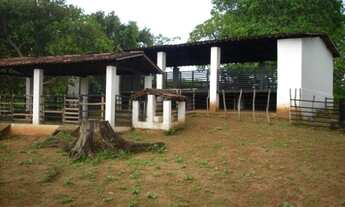 Imagem 5: FAZENDA/ENGENHO Fazenda / sítio com 5 dormitórios