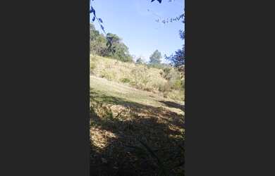 Imagem 4: Terreno Cachoeirinha - Oportunidade!