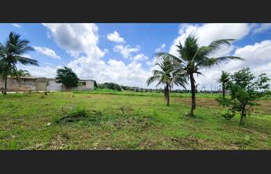 Imagem 4: Propriedade de 30 mil metros quadrados na Vila Pirâmide - Daniel Meneses