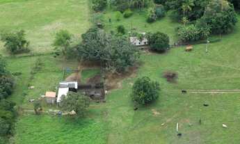 Imagem 4: Fazenda Fátima Tocantins