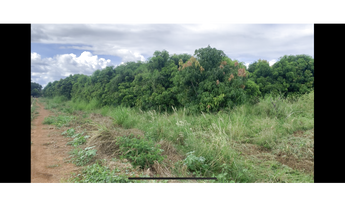 Imagem 4: Lote agrícola de 3,31 escriturado Bebedouro Petrolina
