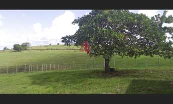 Imagem 7: Fazenda p/gado c/ 540 tarefas no Santa Luzia Itanhy no Povoado Bom Viver