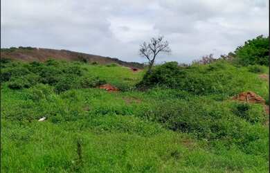 Imagem 2: Ampla área de 8.000m² disponível em Caldeirão Grande