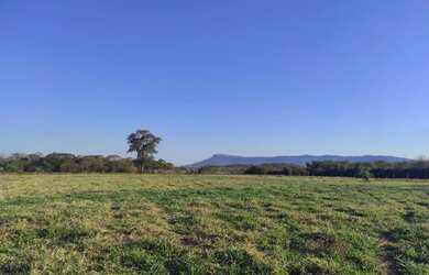 Imagem 6: Vendo com urgência chácara