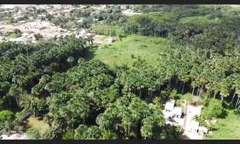 Imagem 4: Área para investimento, em Santarém-pará