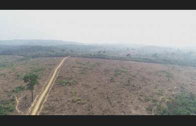 Imagem 3: FAZENDA EM NOVO PROGRESS0O