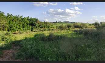 Imagem 7: Sitio 20 mil metros em Holambra SP