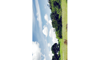 Imagem 3: Vende-se ou troca por veículo de menor valor