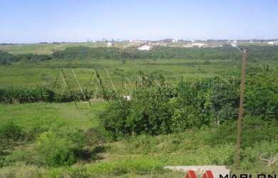 Imagem 7: Fazenda/Granja em Pium, 4 quartos, duplex. 55000m²