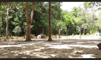 Imagem 3: 214 Alqs as Margens da br Plana Região Morro Grande TO