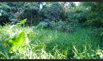 Imagem 4: Sitio 20 mil metros em Holambra SP