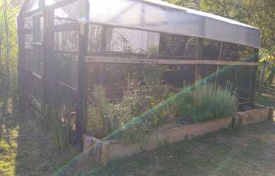 Imagem 4: Vendo chácara no sertão do Ribeirão