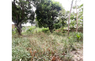 Imagem 4: Terreno Terreno / lote com venda por R$600.000