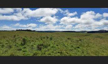 Imagem 5: Área de terras com 89 hectares em Cambará do Sul