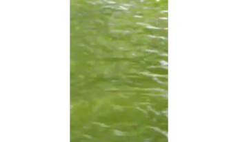 Imagem 2: 100 Alqs Formada Beira Rio Região Barra do Ouro TO