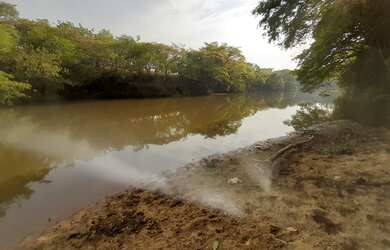 Imagem 2: TERRENO 15 HECTARES