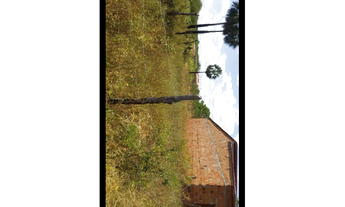 Imagem: Terreno vila jardim Itapipoca ce