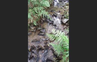 Imagem 2: Sítio em Morro Reuter com 13,5 hectares