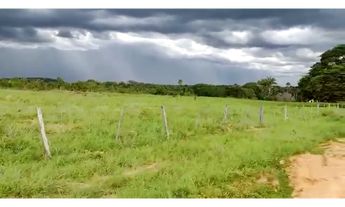 Imagem 4: 120 Alqs Dupla Aptidão Ótima em Tudo Próximo Jaú d TO