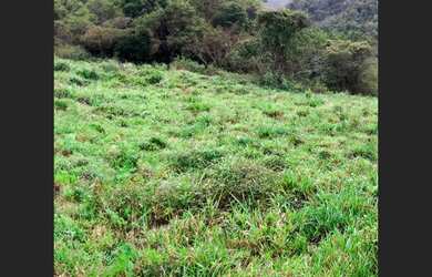 Imagem 2: Área de 8.400 m² próxima ao centro de Capim Grosso