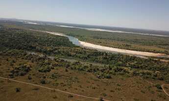 Imagem 5: 888 Alqs Arrendamento Disponivel Pra Soja Vale do Araguaia TO