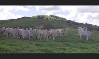 Imagem: Fazenda localizada na melhor região de