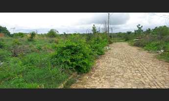 Imagem 7: Terreno no Torquato Neto IV