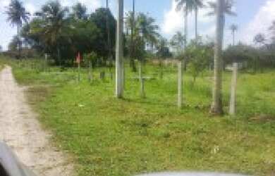 Imagem 6: Mini chácaras a parti de 900 m2 em área nobre porto vasco a parti 75 mil reais