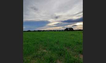 Imagem: 496 Dupla Aptidão Beira Rio Safra e Safrina