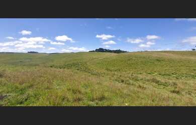 Imagem 7: Área de terras com 89 hectares em Cambará do Sul