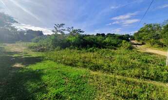 Imagem 5: Terreno no Comveima II