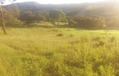Imagem 6: Fazenda de 22 ha em Carmopolis de Minas