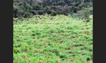 Imagem: Terreno de 15.600 m² em Capim Grosso, cidade