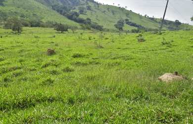 Imagem 3: Terreno de 3 há em Passa Tempo MG