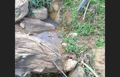 Imagem 3: Sítio a venda em santa luzia Cambuci rj