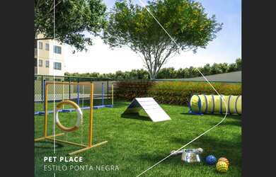 Imagem 5: Lançamento Estilo Ponta Negra