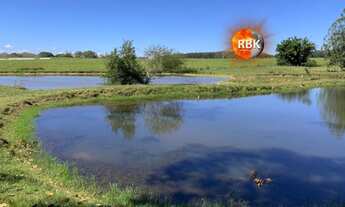 Imagem 3: Maravilhosa Area de Terra 13 Hectares em Nova Santa Rita Canoas, RS