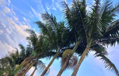 Imagem 2: Sítio Bairro Dos Paulistas, próximo á rodovia Fernão Dias, acesso para Bom Repouso MG