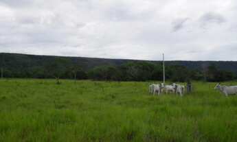 Imagem 2: VENDO!!! Uma Fazenda com 194 hectares nas margens da BR 040