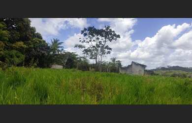 Imagem 8: Excelente fazenda para investimento