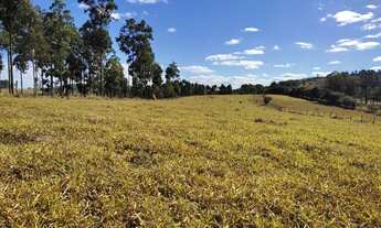 Imagem 4: Terreno de 36 há em Oliveira