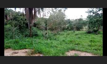 Imagem 5: Sítio de 8 há em Itaguara MG