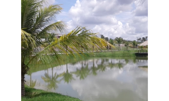 Imagem 2: Vende-se Terreno/Lote