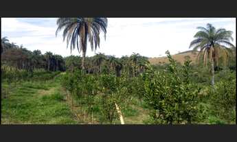 Imagem 7: Fazenda de 174 há em Cláudio MG